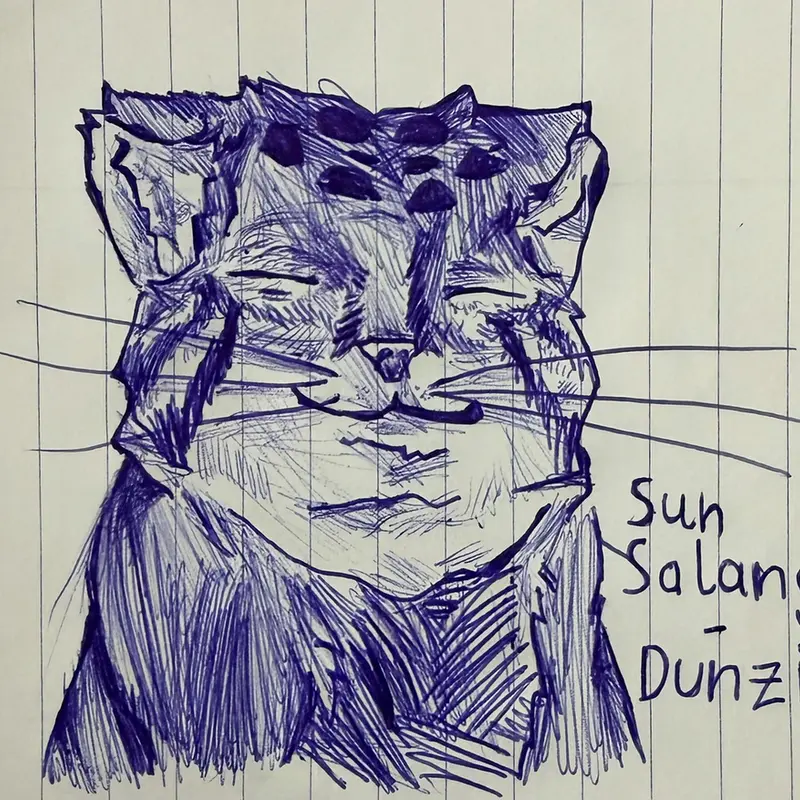 A photograph of a Pallas's cat