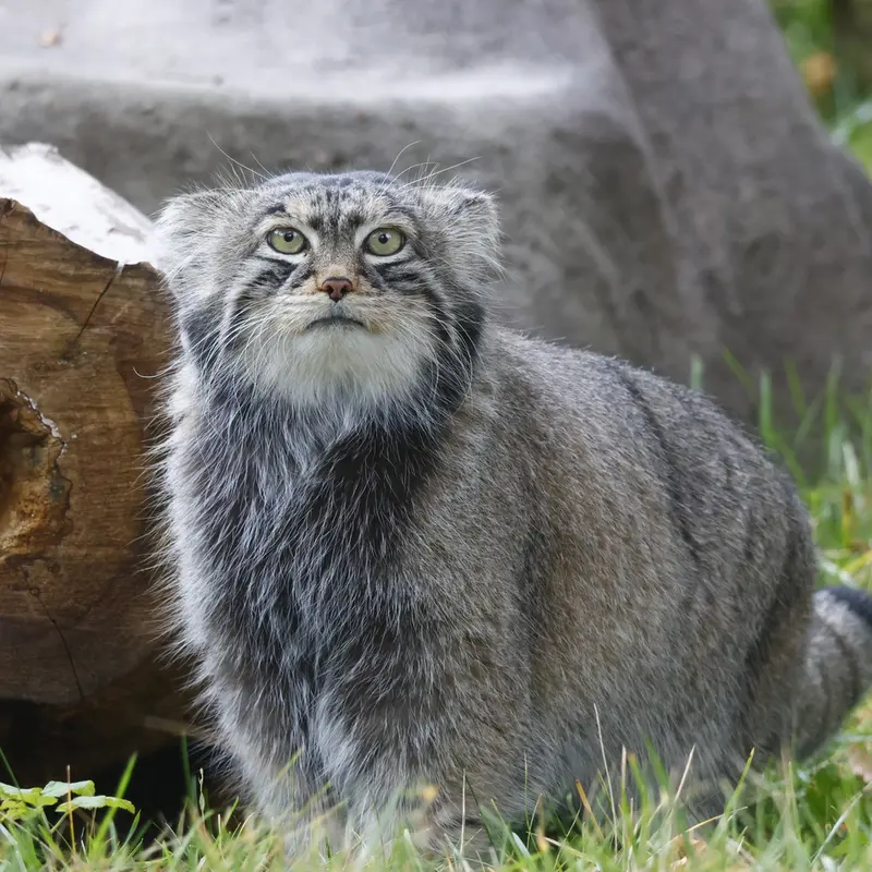 A photograph of Timofey in Moscow zoo
