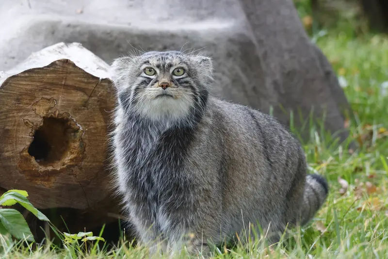 A photograph of Timofey in Moscow zoo