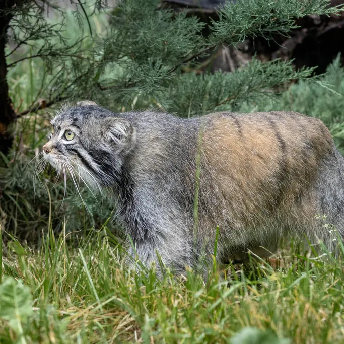 A photograph of Timofey in Moscow zoo