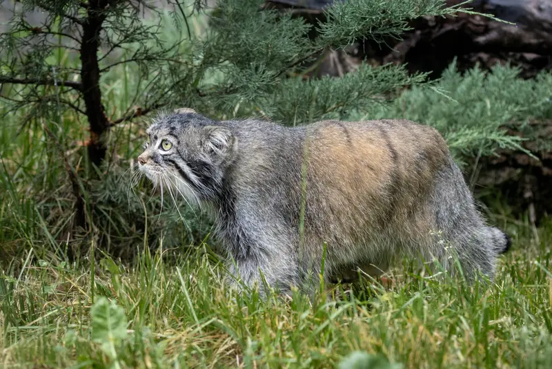 A photograph of Timofey in Moscow zoo