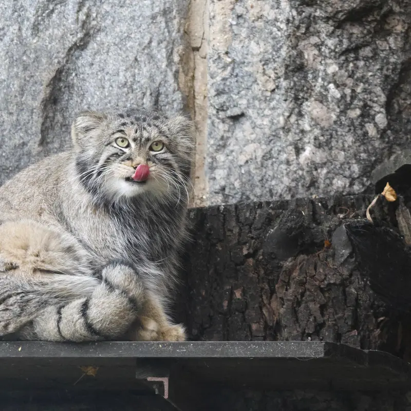 A photograph of Timofey in Moscow zoo