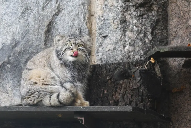 A photograph of Timofey in Moscow zoo
