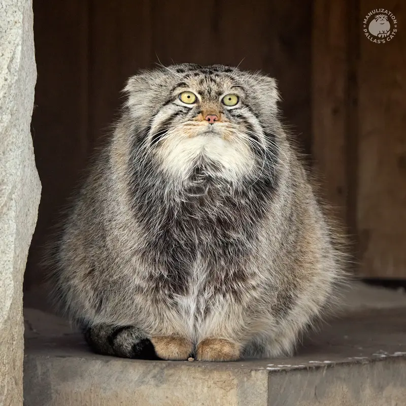 A photograph of Timofey in Moscow zoo