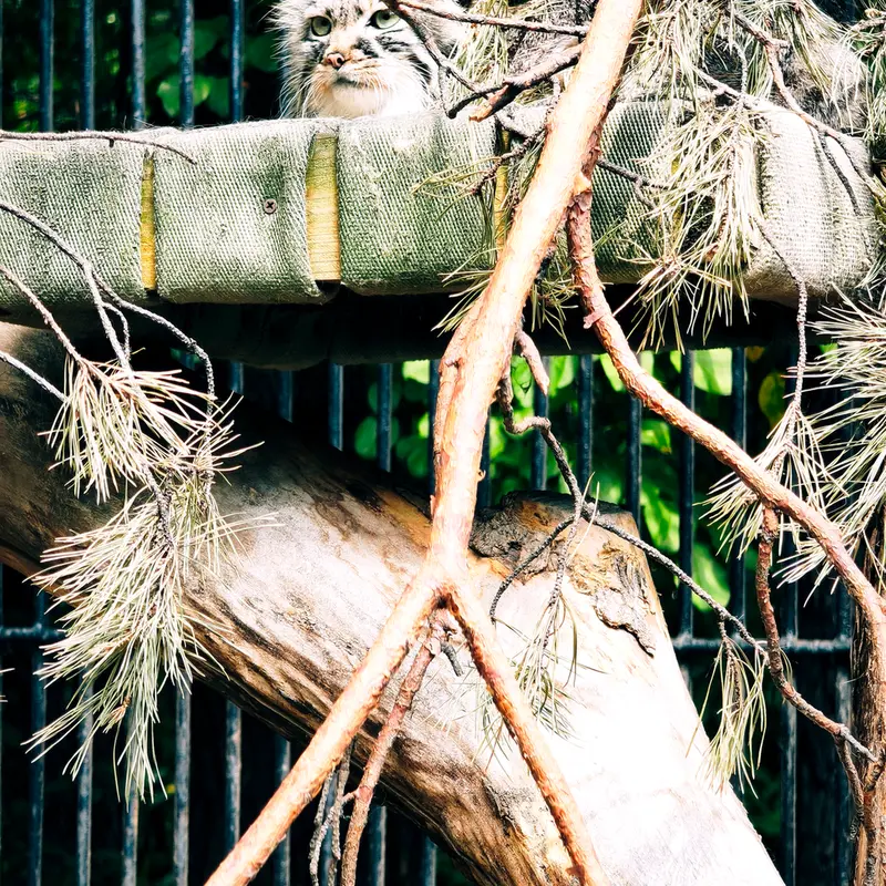 A photograph of Gabi in Novosibirsk Zoo