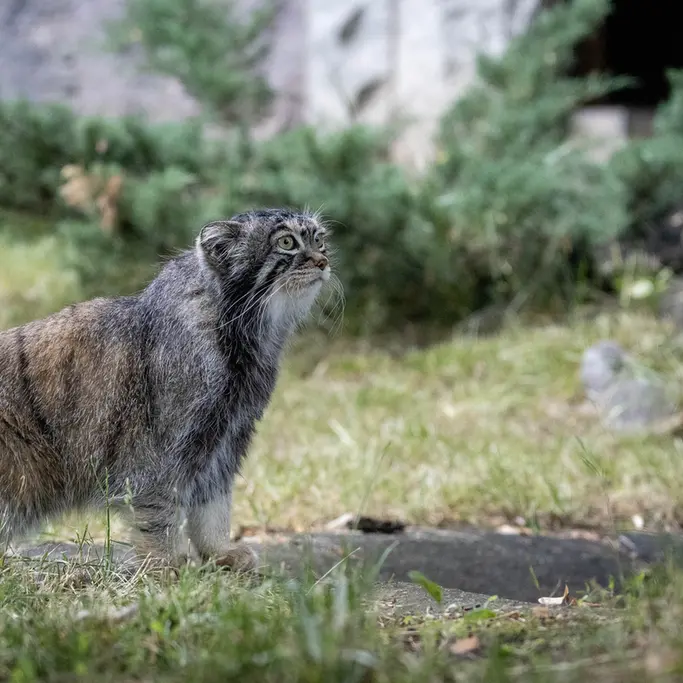 A photograph of Timofey in Moscow zoo