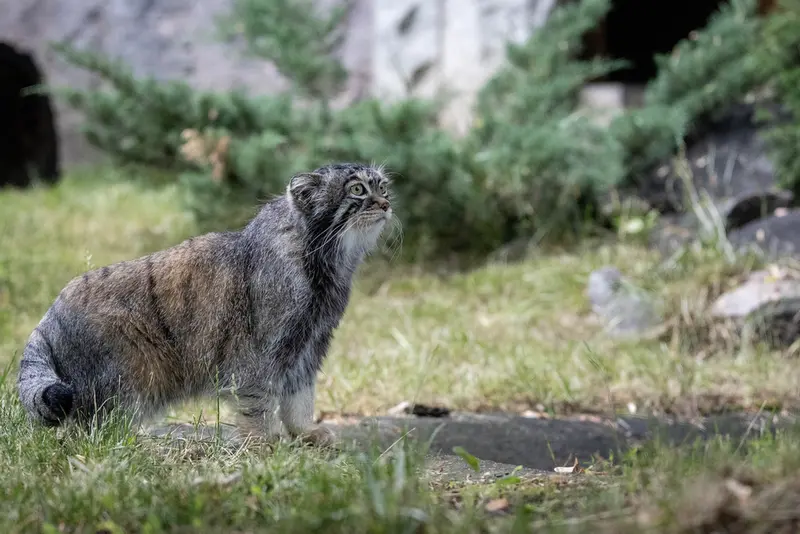 A photograph of Timofey in Moscow zoo