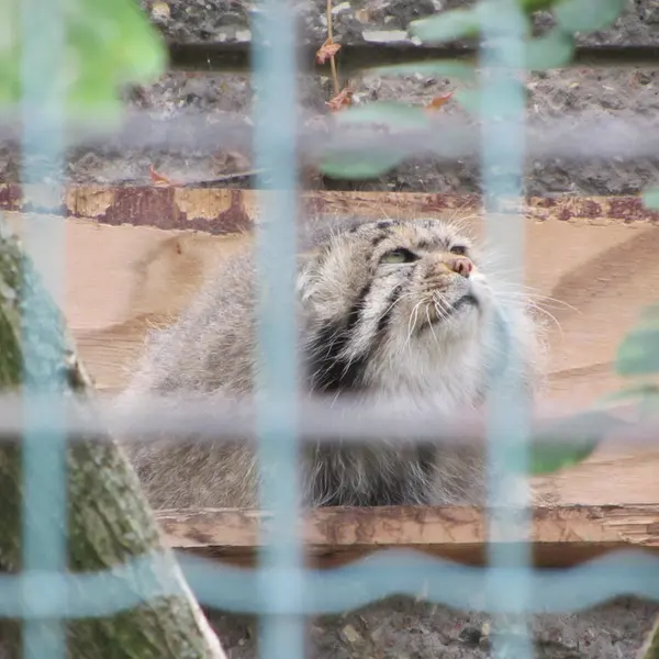 A photograph of Jonathan in Magdeburg Zoo