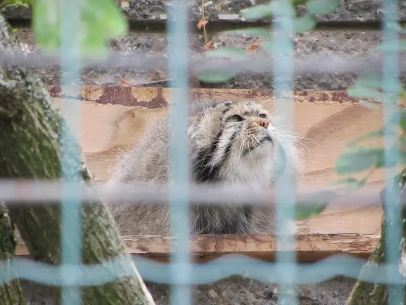 A photograph of Jonathan in Magdeburg Zoo