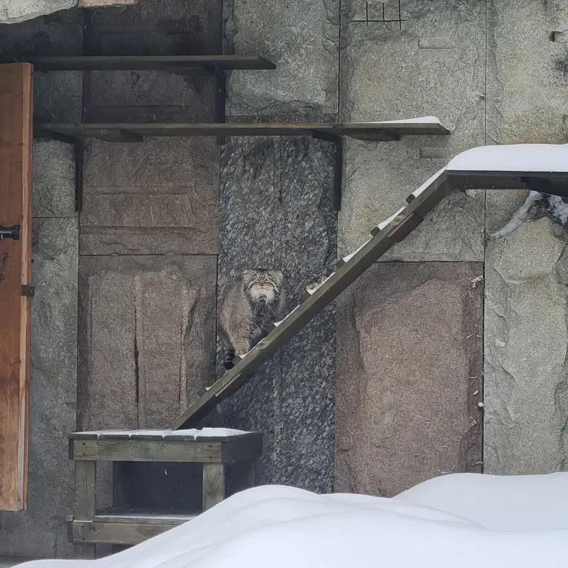 A photograph of Timofey in Moscow zoo