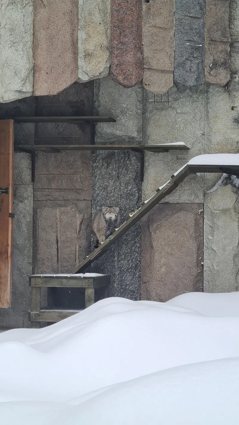 A photograph of Timofey in Moscow zoo