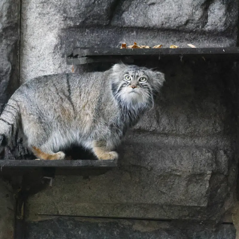 A photograph of Timofey in Moscow zoo