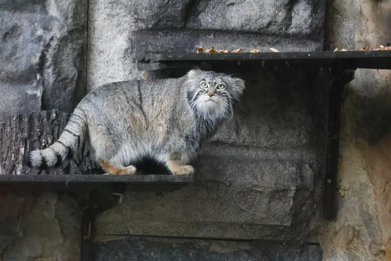 A photograph of Timofey in Moscow zoo