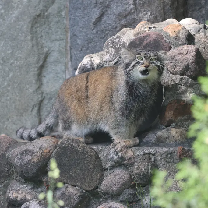A photograph of Timofey in Moscow zoo