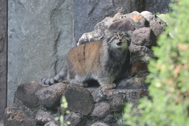 A photograph of Timofey in Moscow zoo