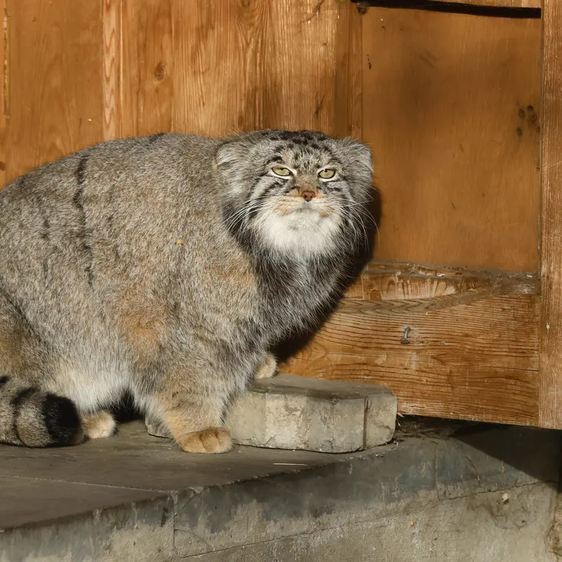 A photograph of Timofey in Moscow zoo