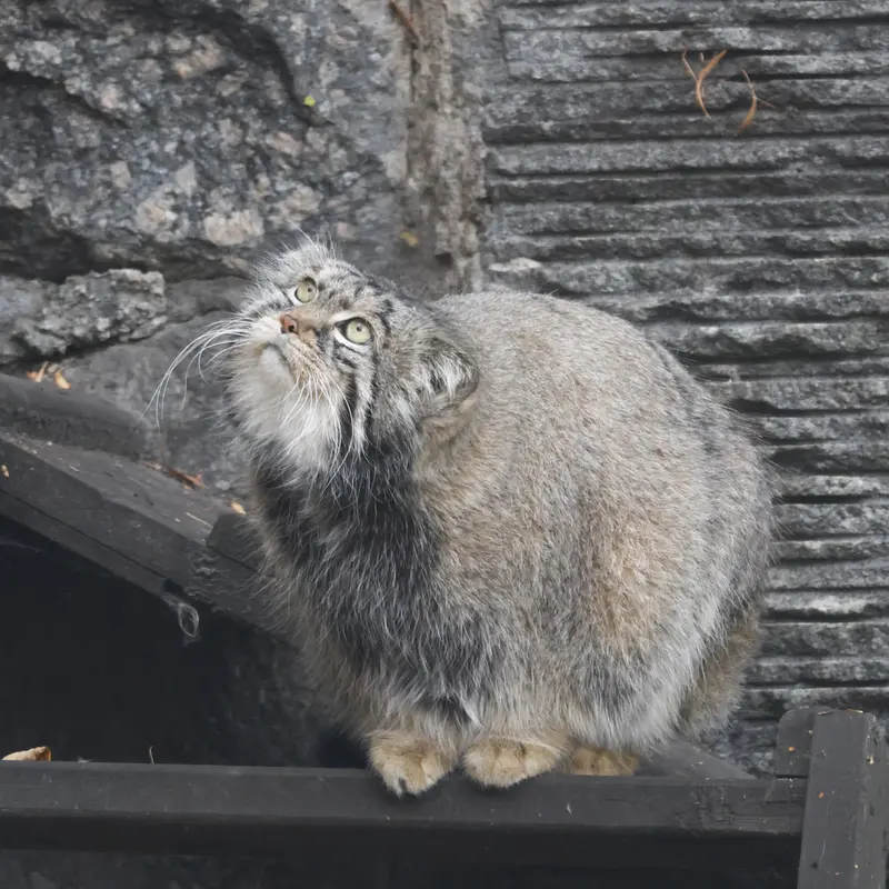 A photograph of Timofey in Moscow zoo