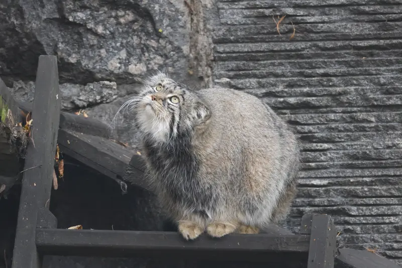 A photograph of Timofey in Moscow zoo