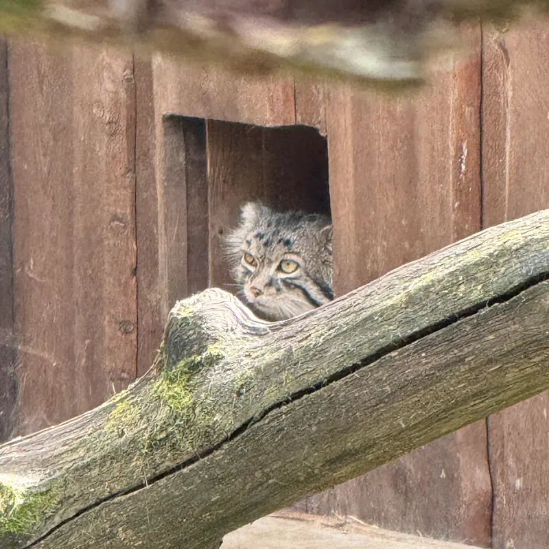 A photograph of Mars in Tallinn Zoo