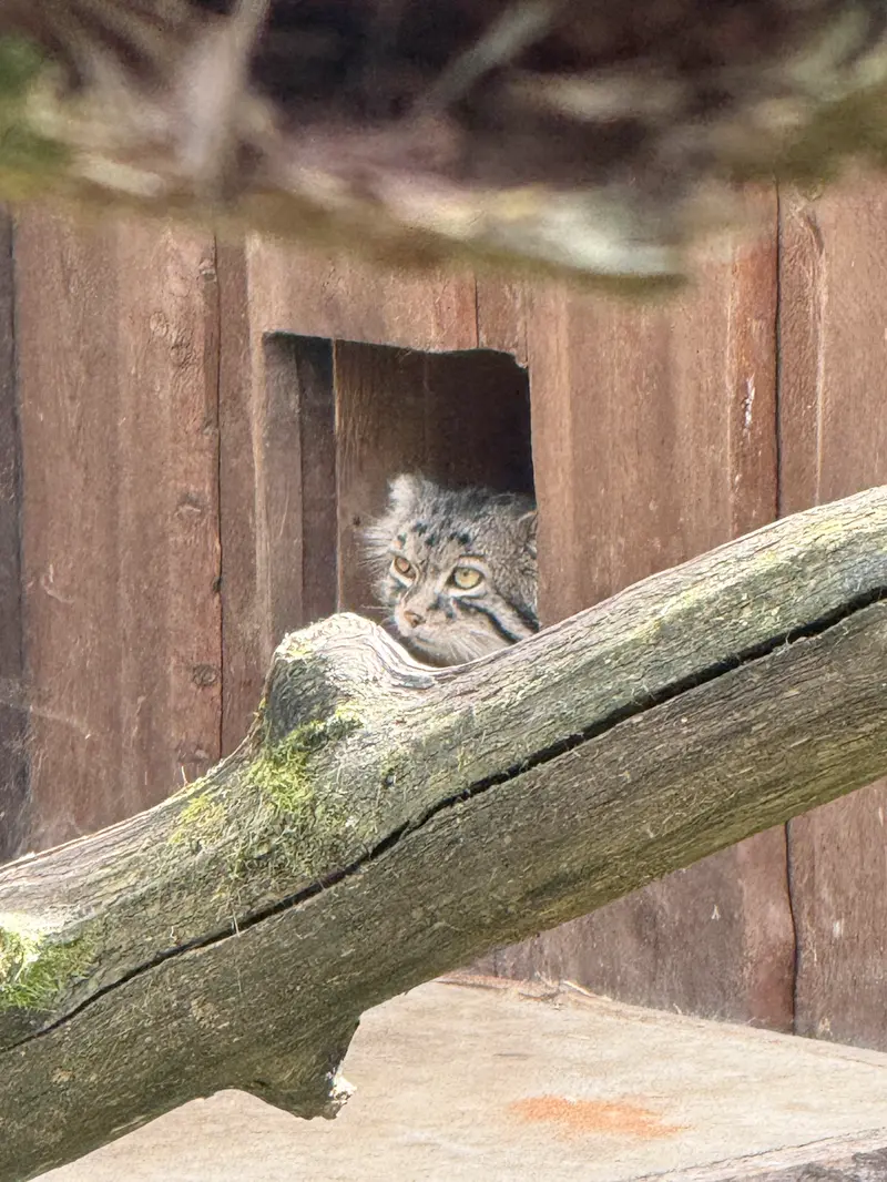 A photograph of Mars in Tallinn Zoo