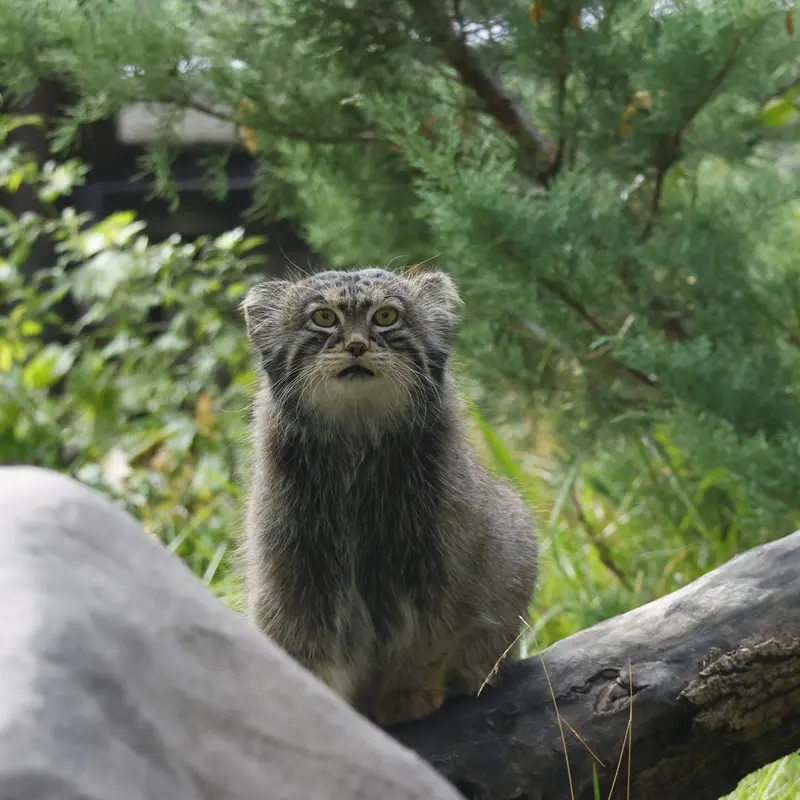 A photograph of Timofey in Moscow zoo