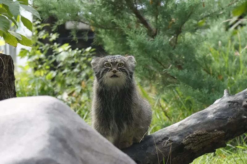 A photograph of Timofey in Moscow zoo