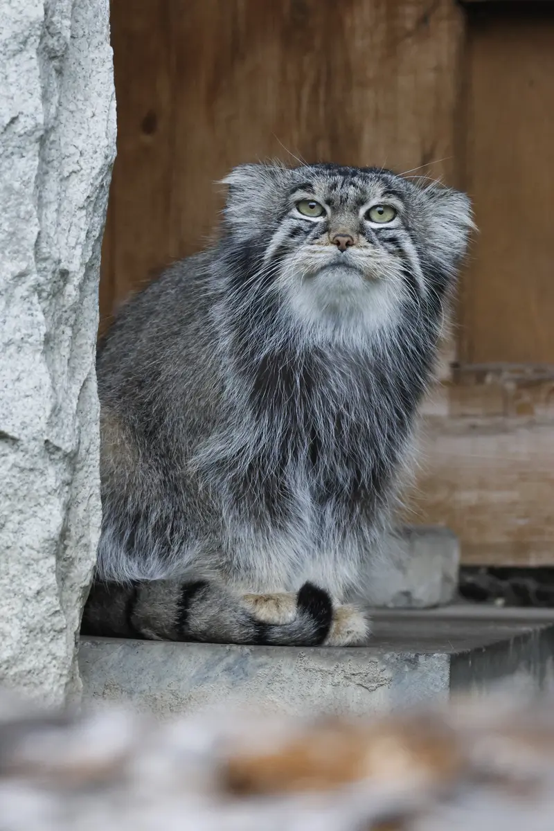 A photograph of Timofey in Moscow zoo