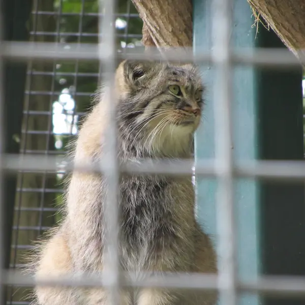 A photograph of Karl-Heinz in Saarbrücken Zoo