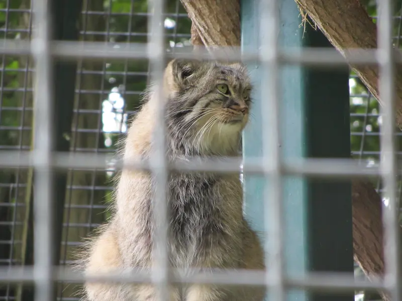 A photograph of Karl-Heinz in Saarbrücken Zoo