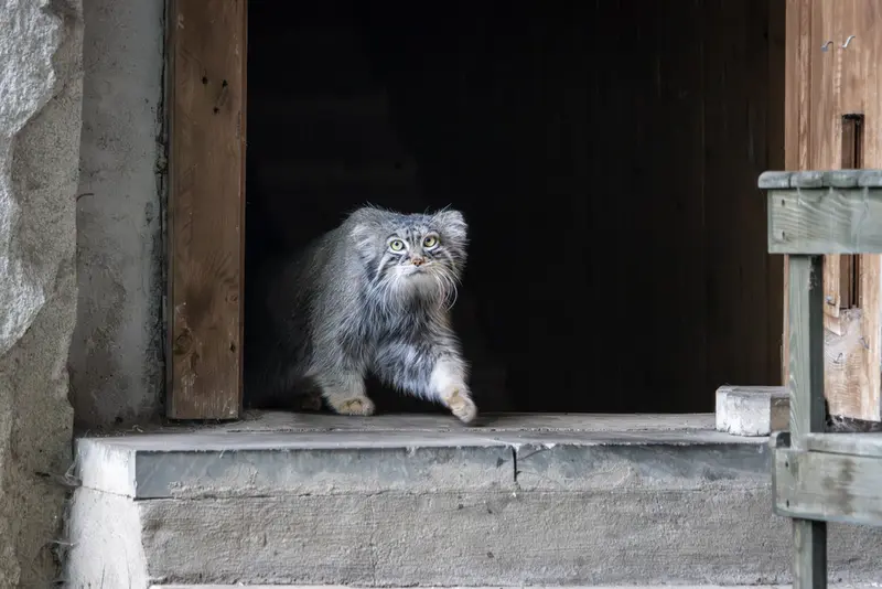 A photograph of Timofey in Moscow zoo