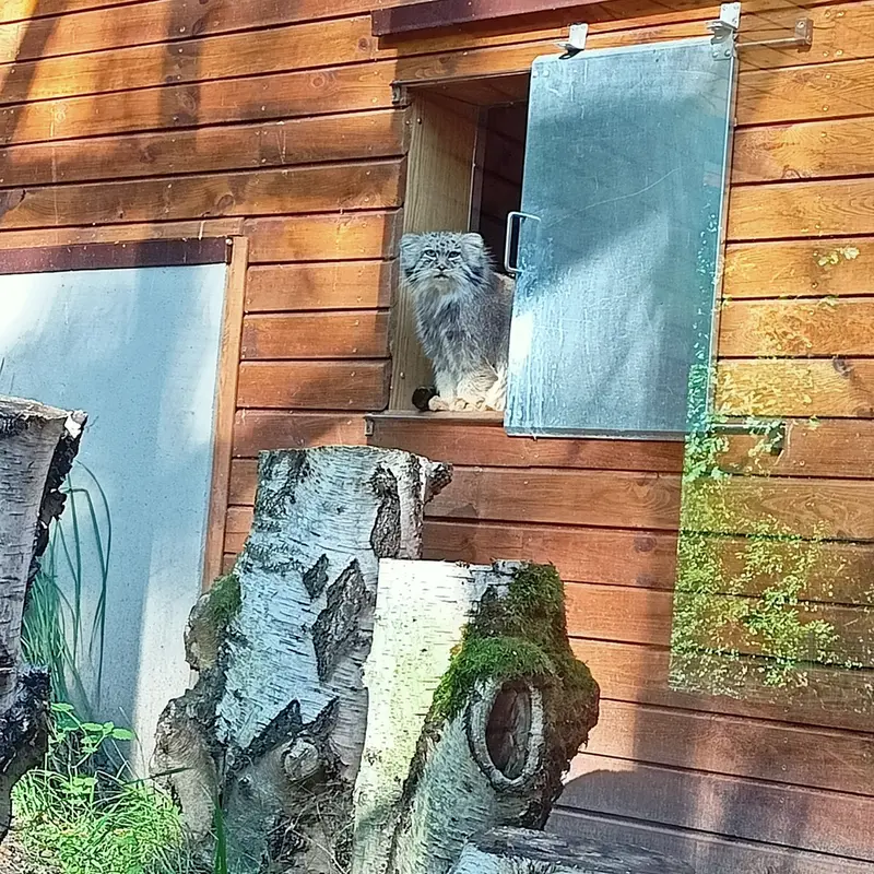 A photograph of Manuel in Gdansk Zoo