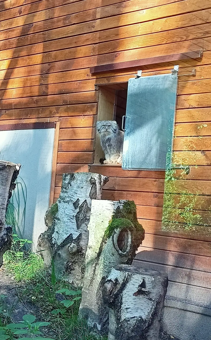 A photograph of Manuel in Gdansk Zoo