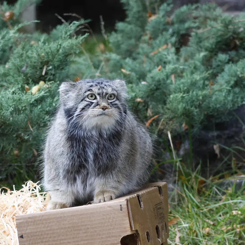 A photograph of Timofey in Moscow zoo