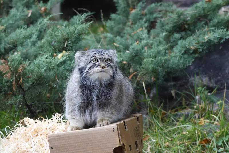 A photograph of Timofey in Moscow zoo