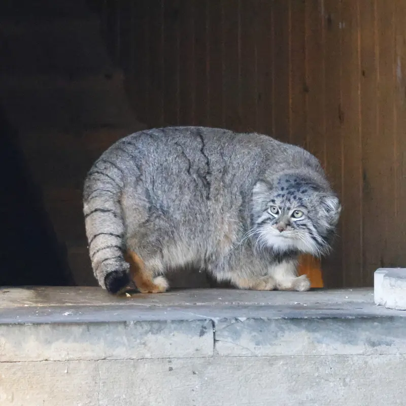 A photograph of Timofey in Moscow zoo