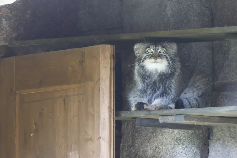 A photograph of Timofey in Moscow zoo