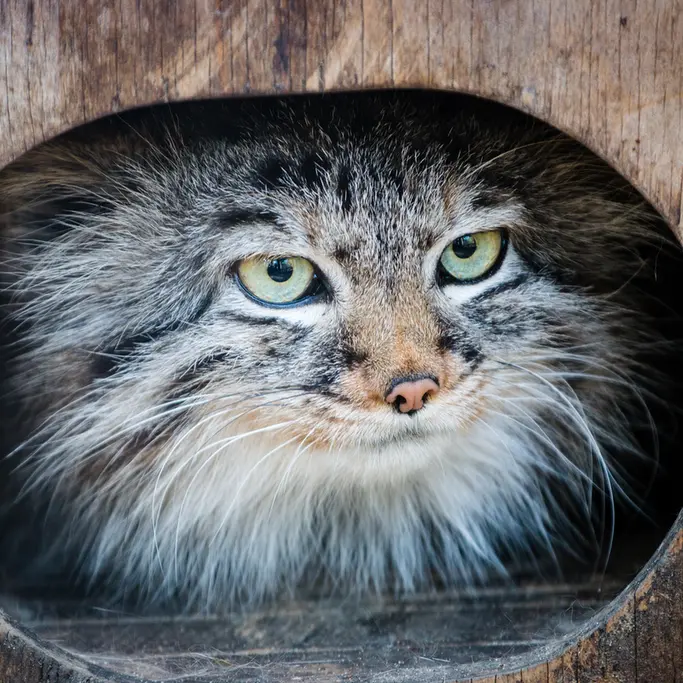 A photograph of Gabi in Novosibirsk Zoo