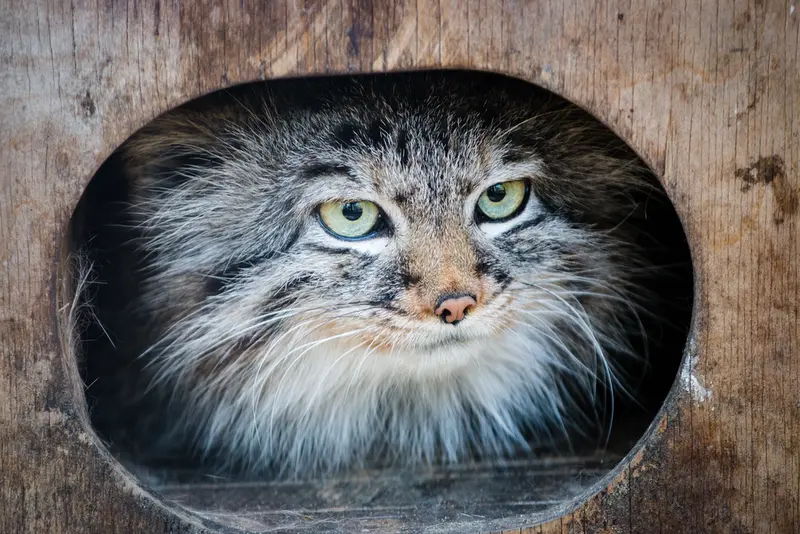 A photograph of Gabi in Novosibirsk Zoo