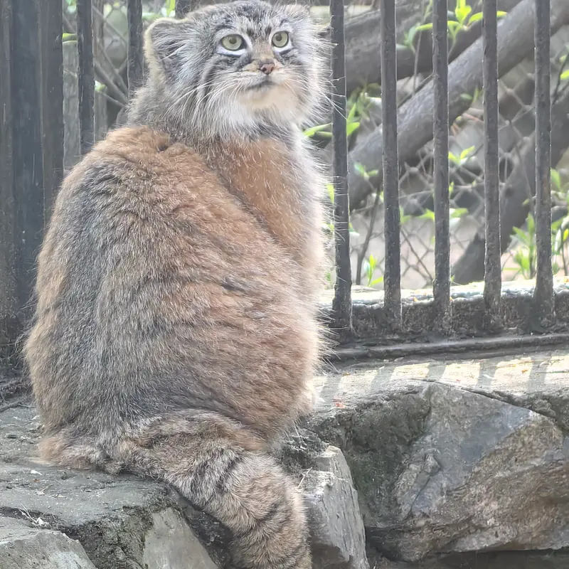 A photograph of Anya in Novosibirsk Zoo