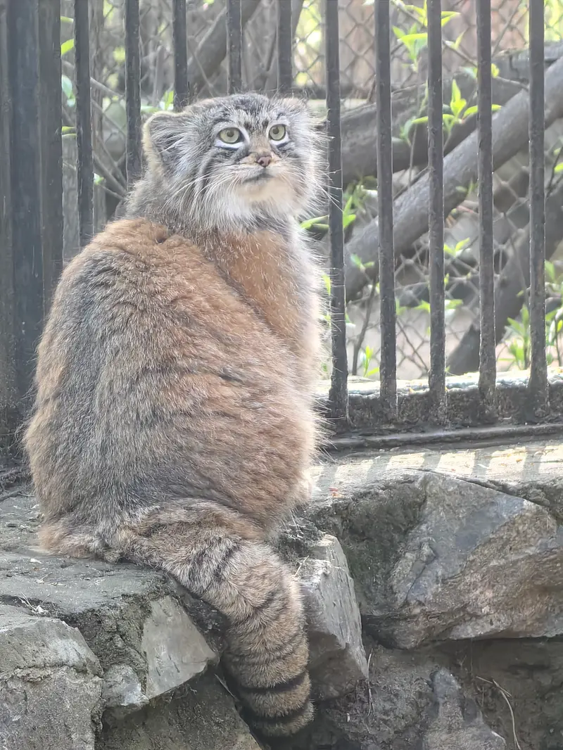 A photograph of Anya in Novosibirsk Zoo