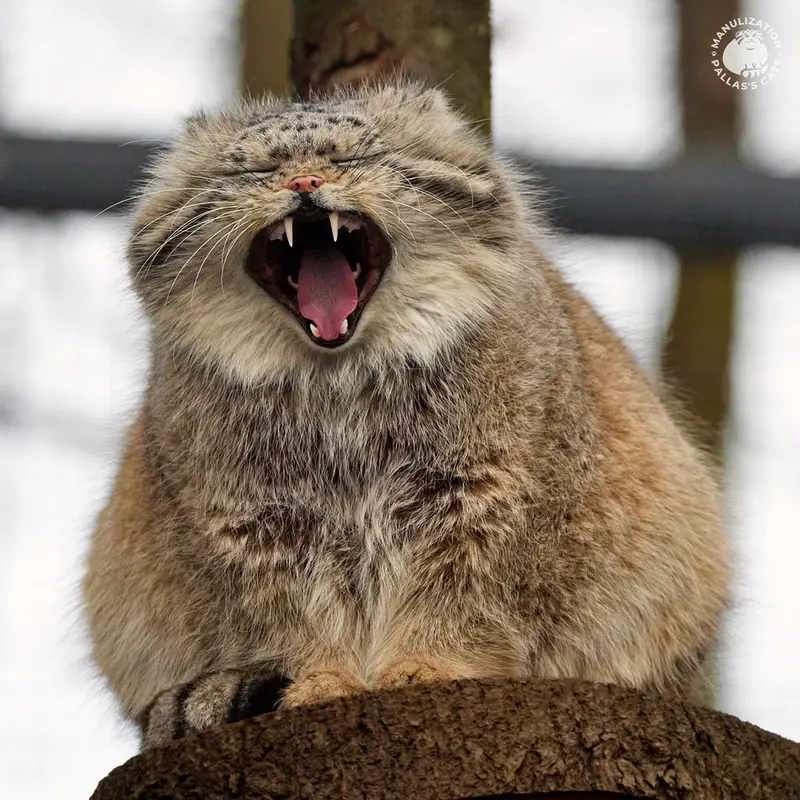 A photograph of Manuel in Gdansk Zoo