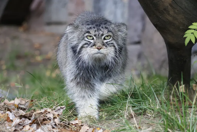 A photograph of Timofey in Moscow zoo