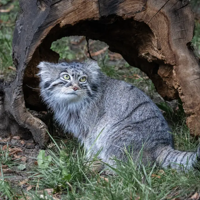 A photograph of Timofey in Moscow zoo