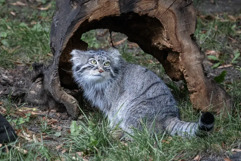 A photograph of Timofey in Moscow zoo