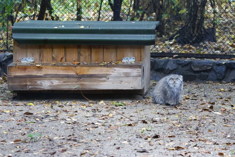 A photograph of Mia in Novosibirsk Zoo