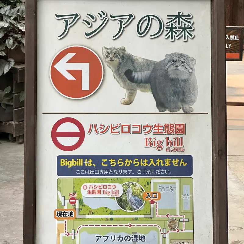A photograph of Lev and Az in Kobe Animal Kingdom