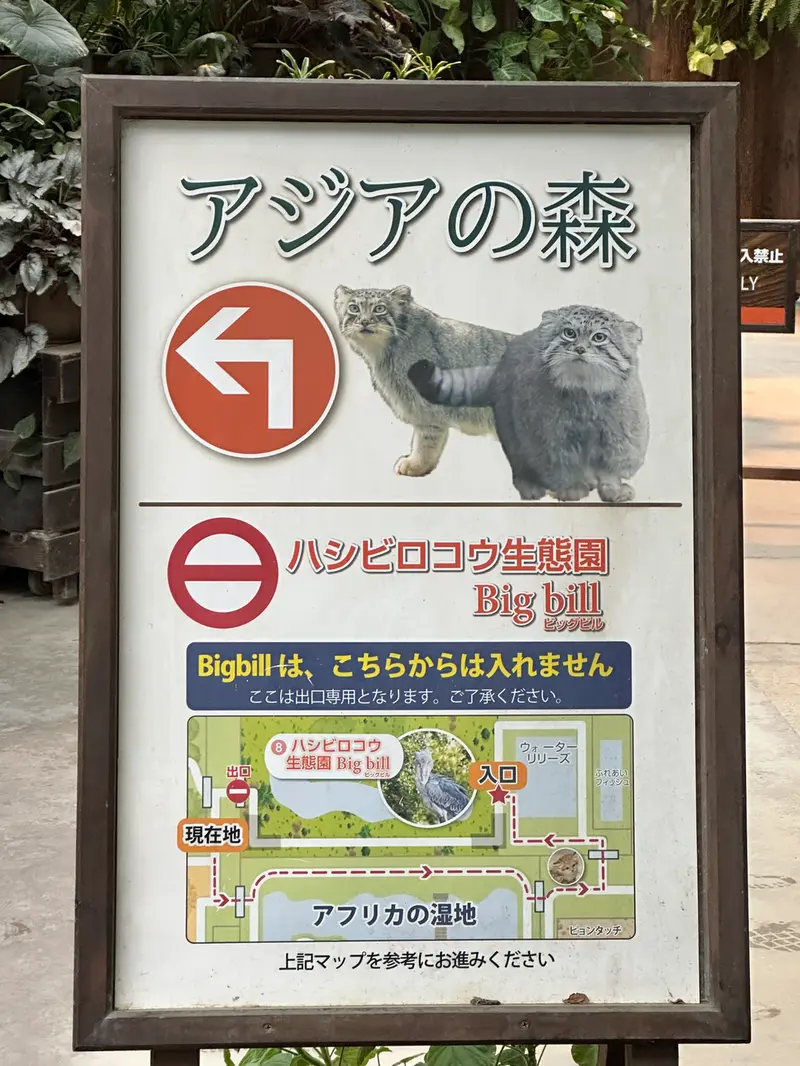 A photograph of Lev and Az in Kobe Animal Kingdom