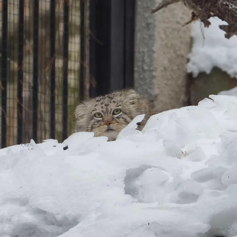 A photograph of Manuel in Gdansk Zoo