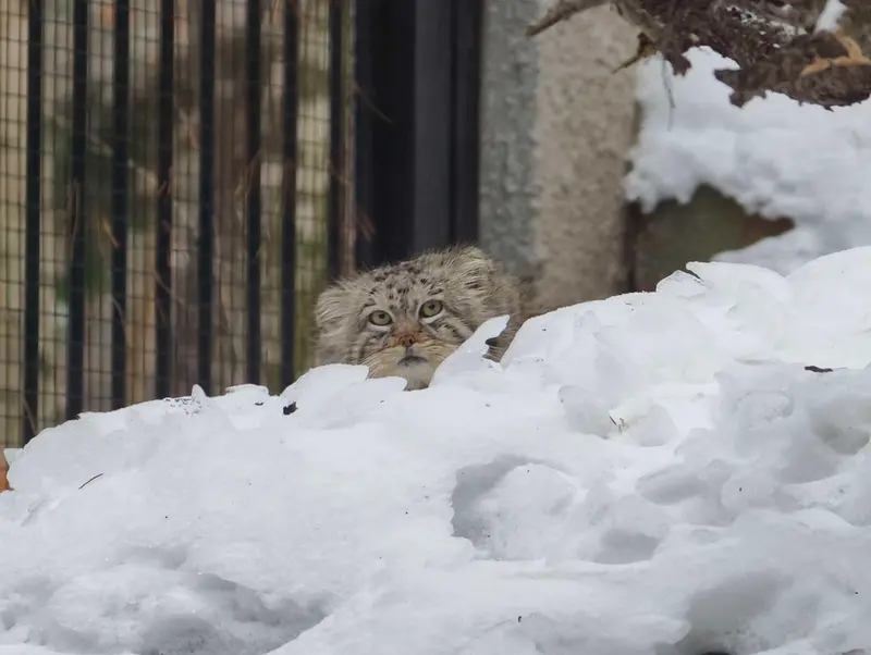 A photograph of Manuel in Gdansk Zoo