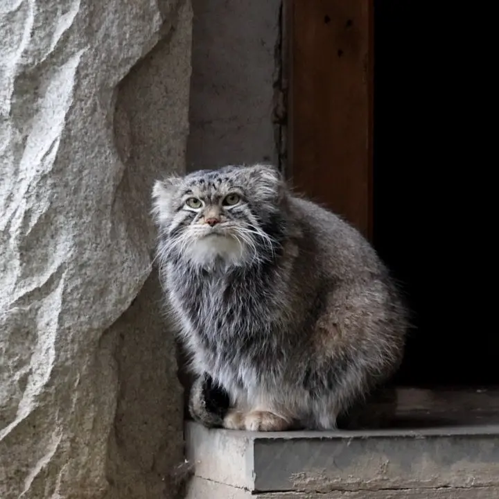 A photograph of Timofey in Moscow zoo